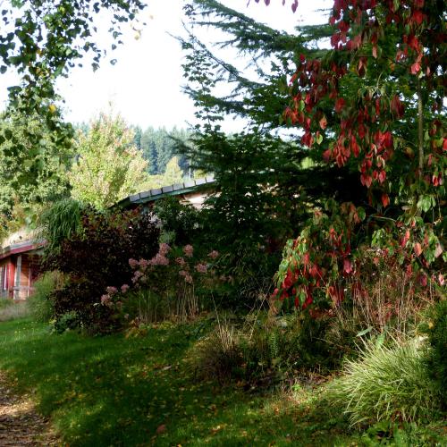 Entrée paysagée des gites